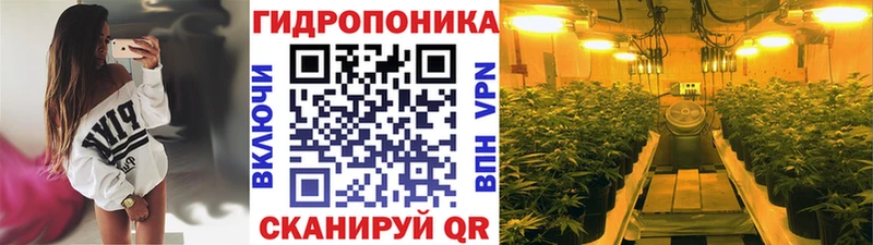 Бошки Шишки SATIVA & INDICA  купить   Курлово 